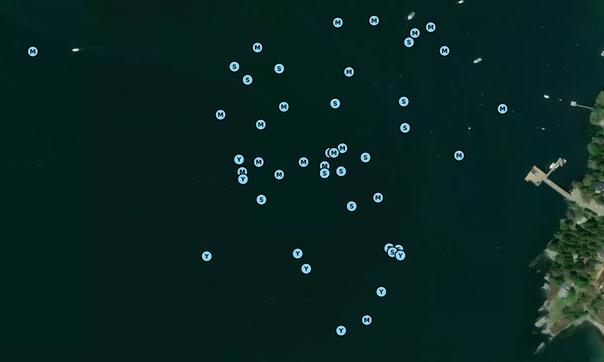 Satelite image of Chandler Cove