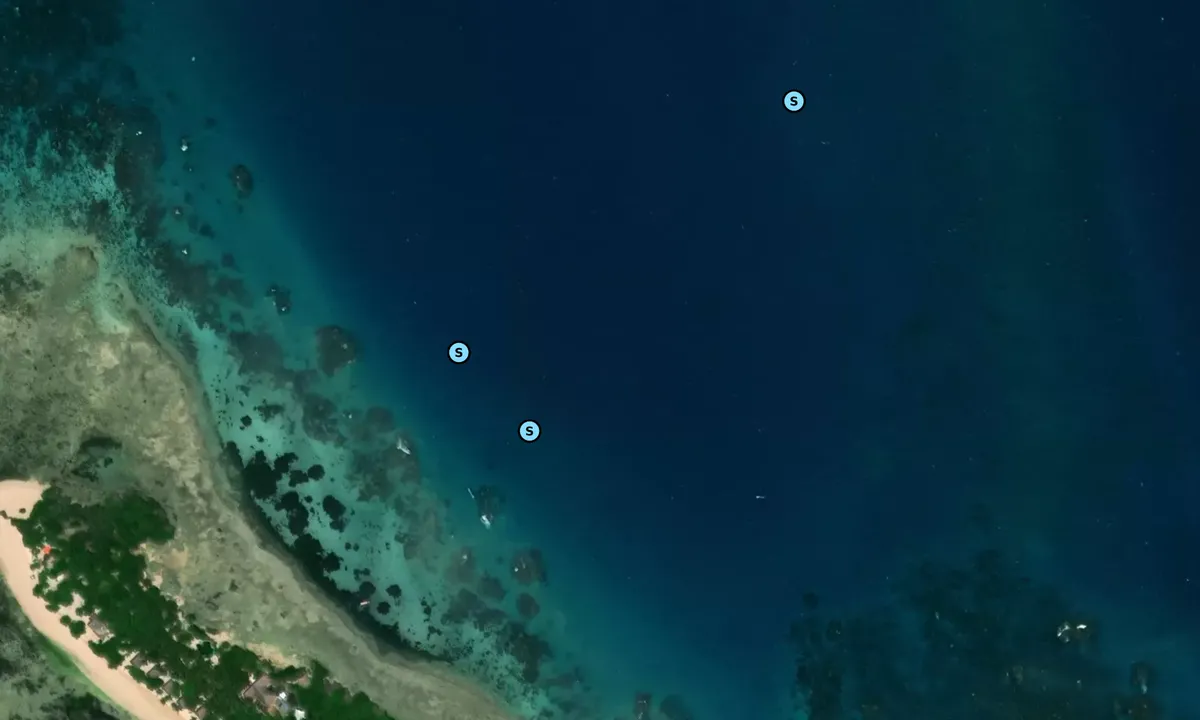 Satelite image of Chapwani Island