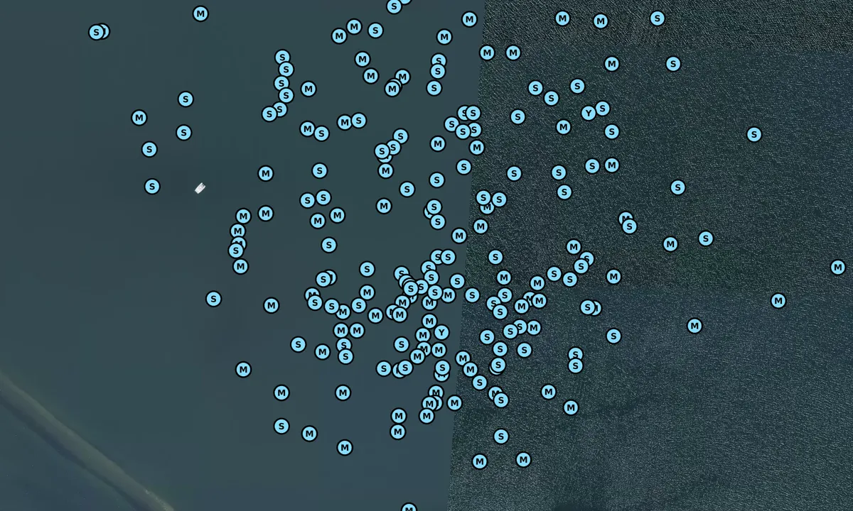 Satelite image of Charles Island