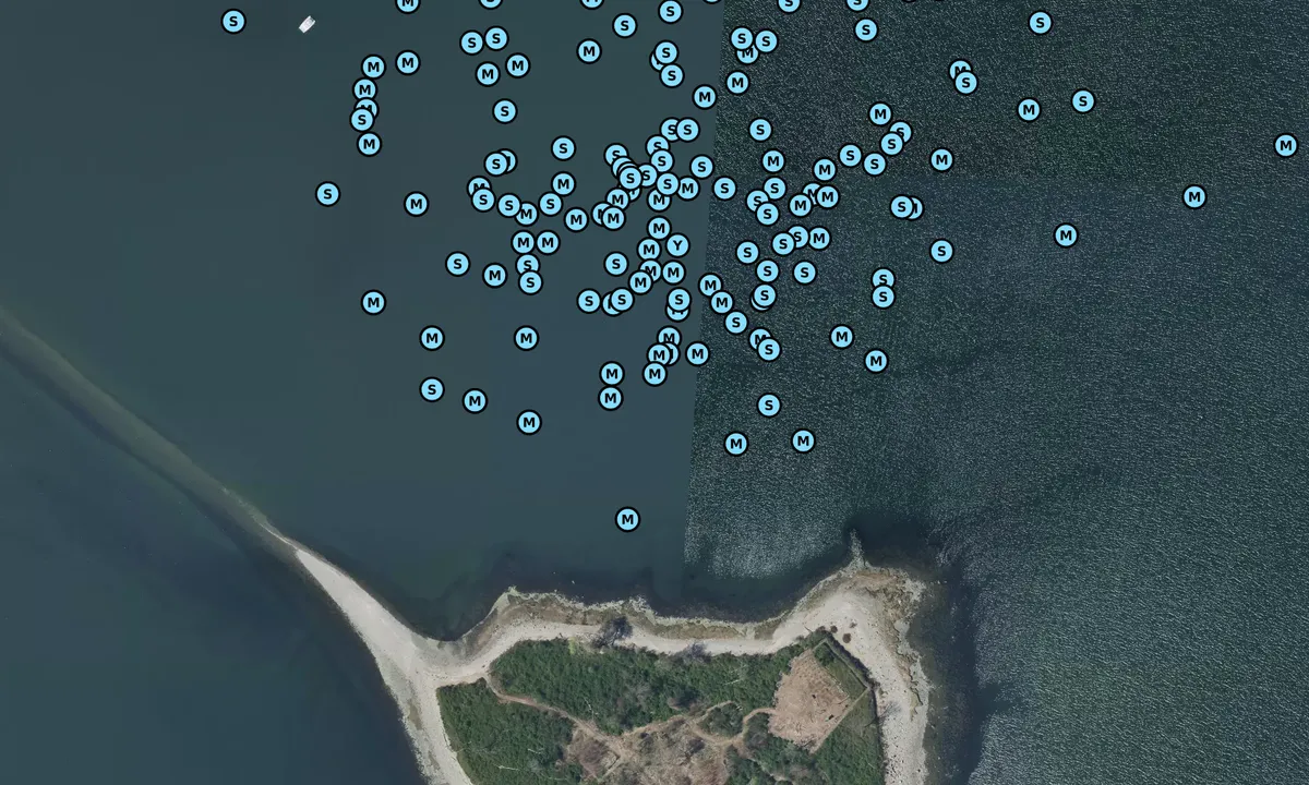 Satelite image of Charles Island - Milford