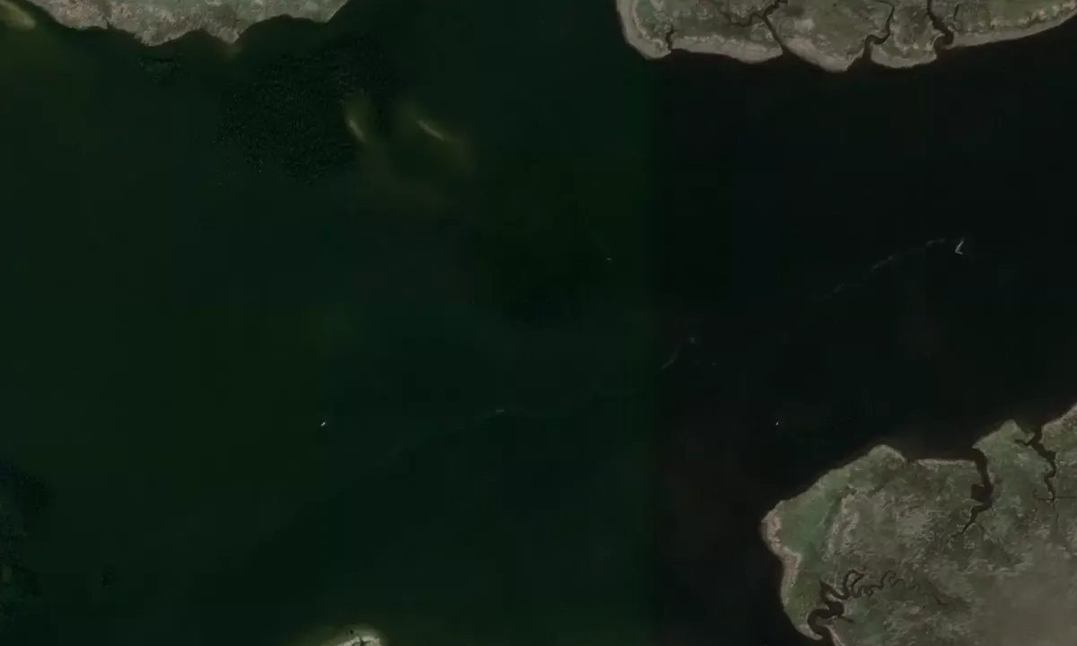 Satelite image of Chassahowitzka River Mouth-