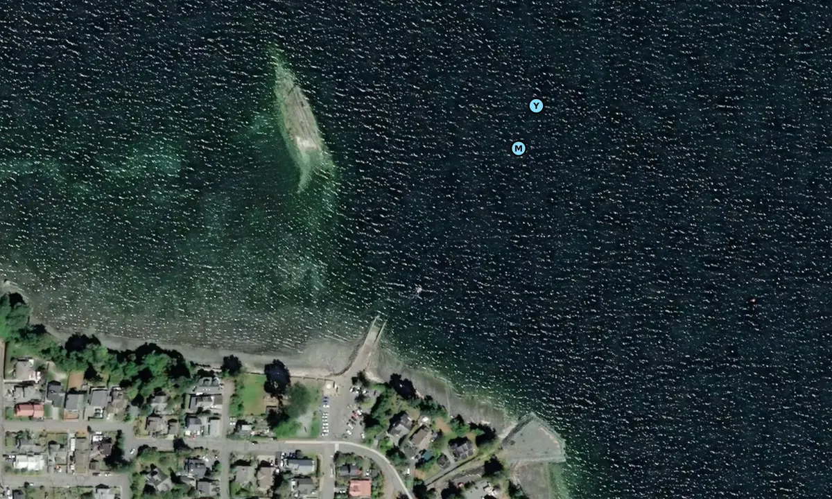 Satelite image of Chemainus (moorings)