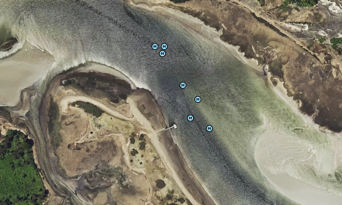 Satelite image of Choate Island