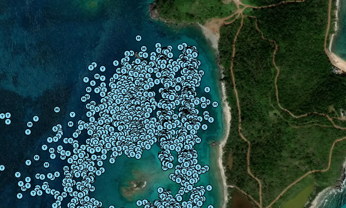 Satelite image of Christmas Cove