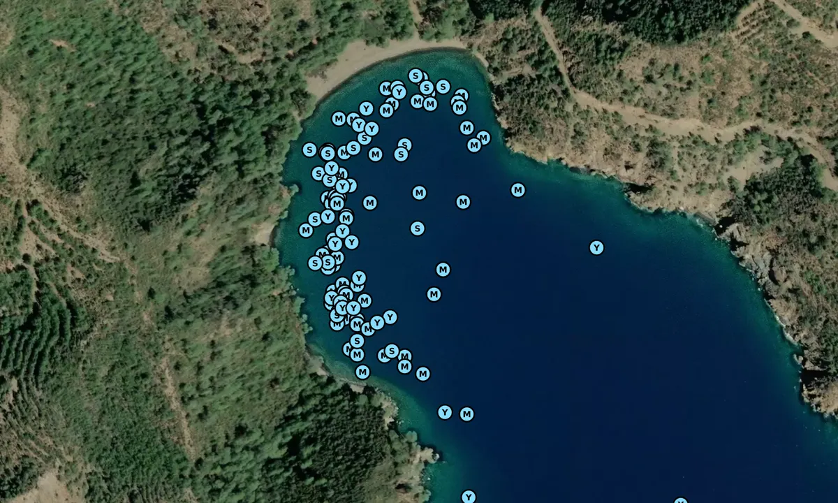 Satelite image of Çığlık koyu