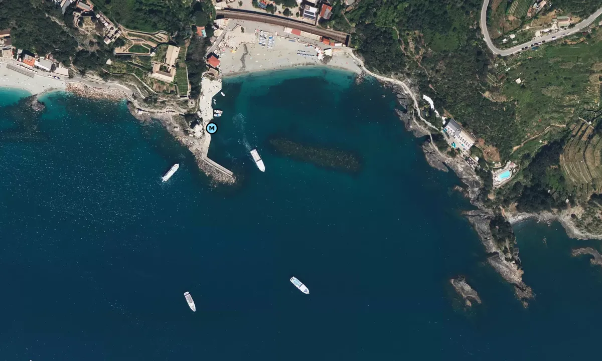 Satelite image of Cinque Terre
