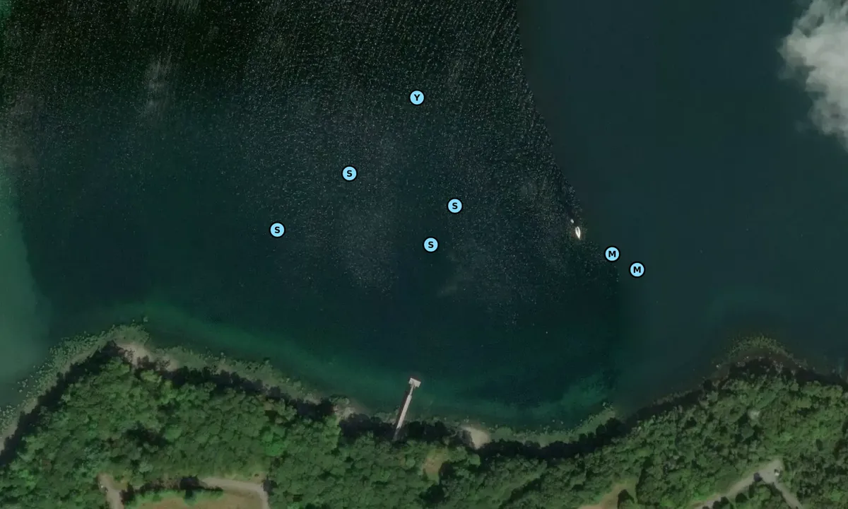 Satelite image of Clam Cove South