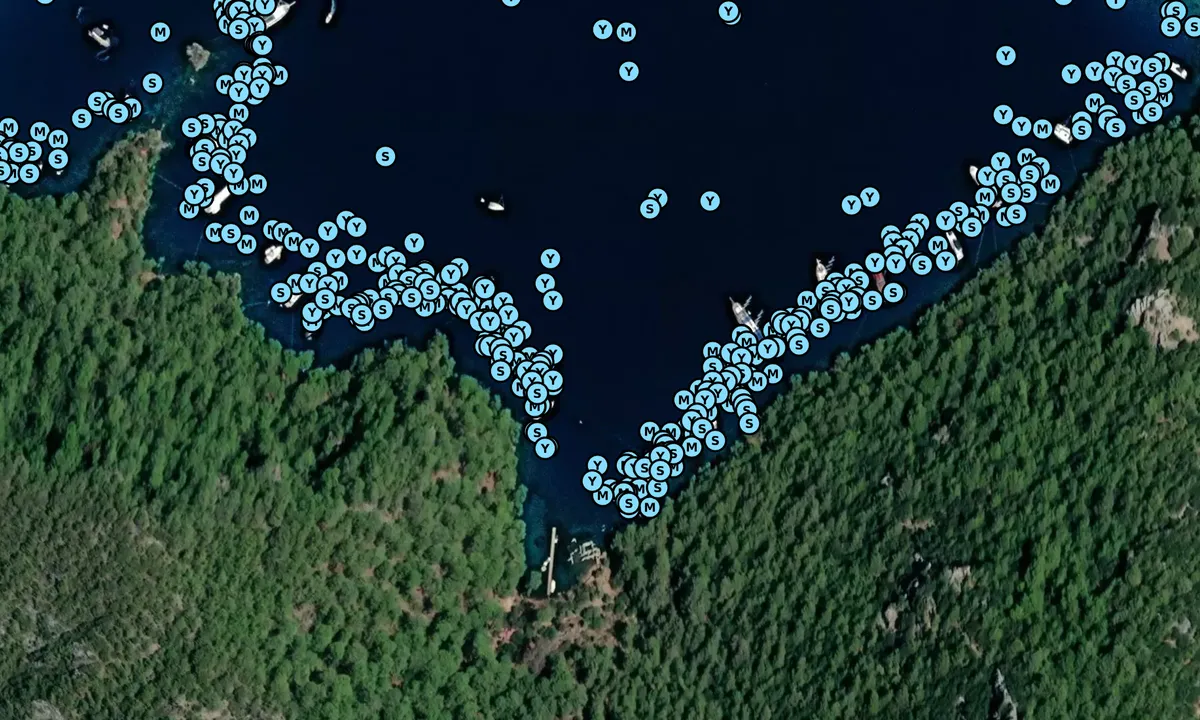 Satelite image of Cleopatra Cove