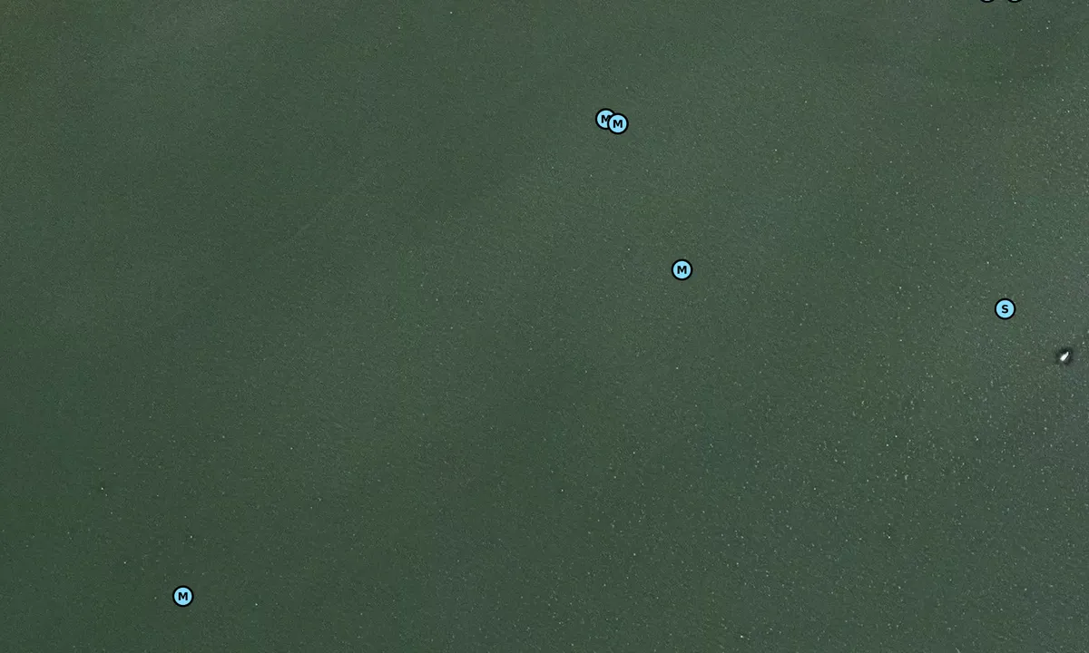 Satelite image of Cliffs Bight