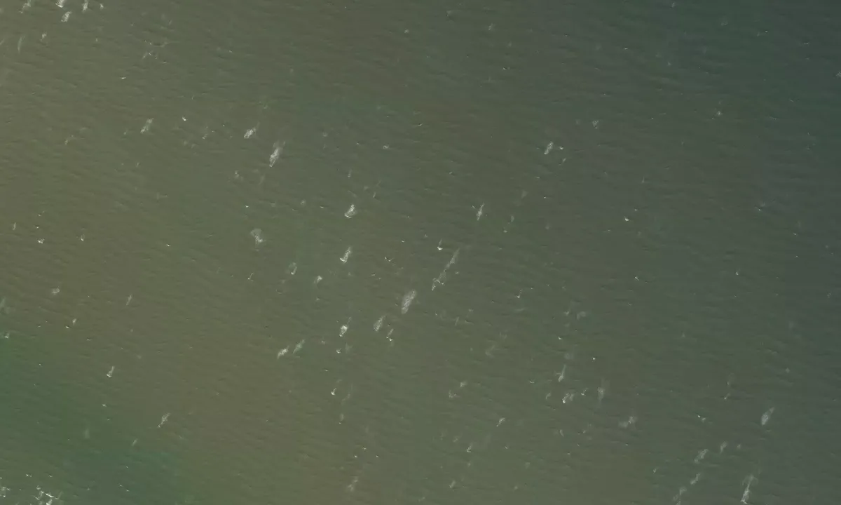 Satelite image of Cncrt Block