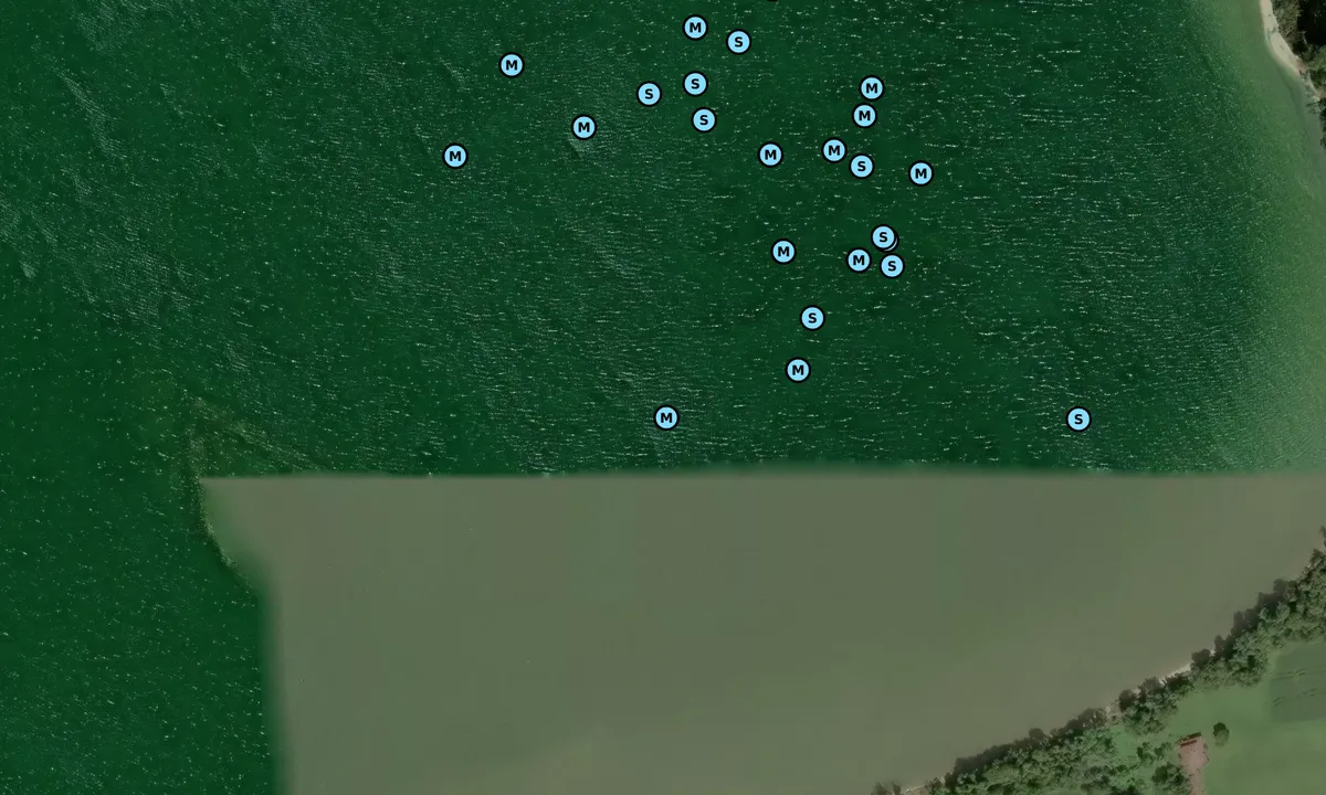 Satelite image of Coan River