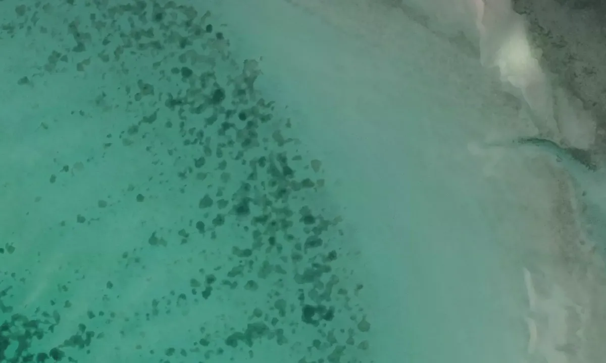 Flyfoto av Cockroach Cay