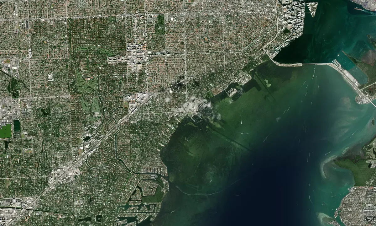 Flyfoto av Coconut Grove Sailing Club (mooring field)