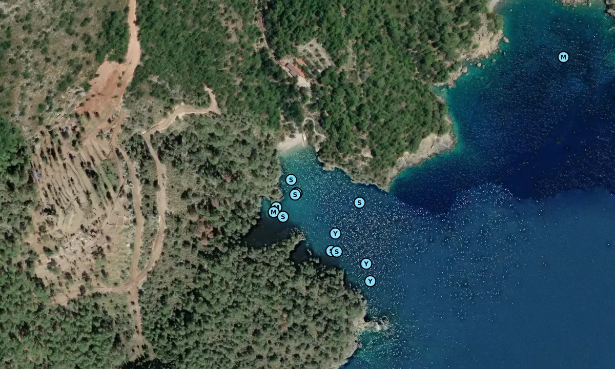 Satelite image of Cold Water Bay