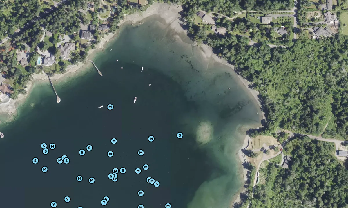 Satelite image of Coles Bay