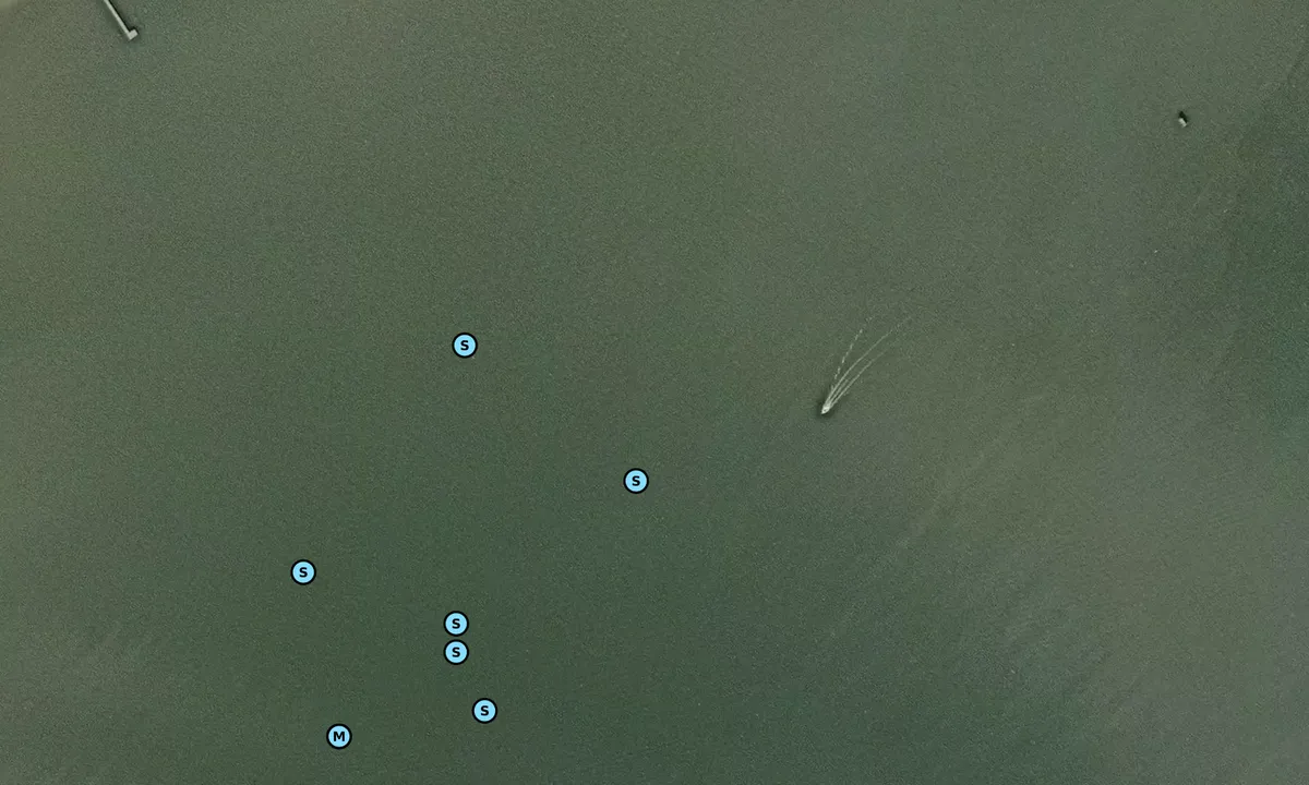 Satelite image of Comegys Bight