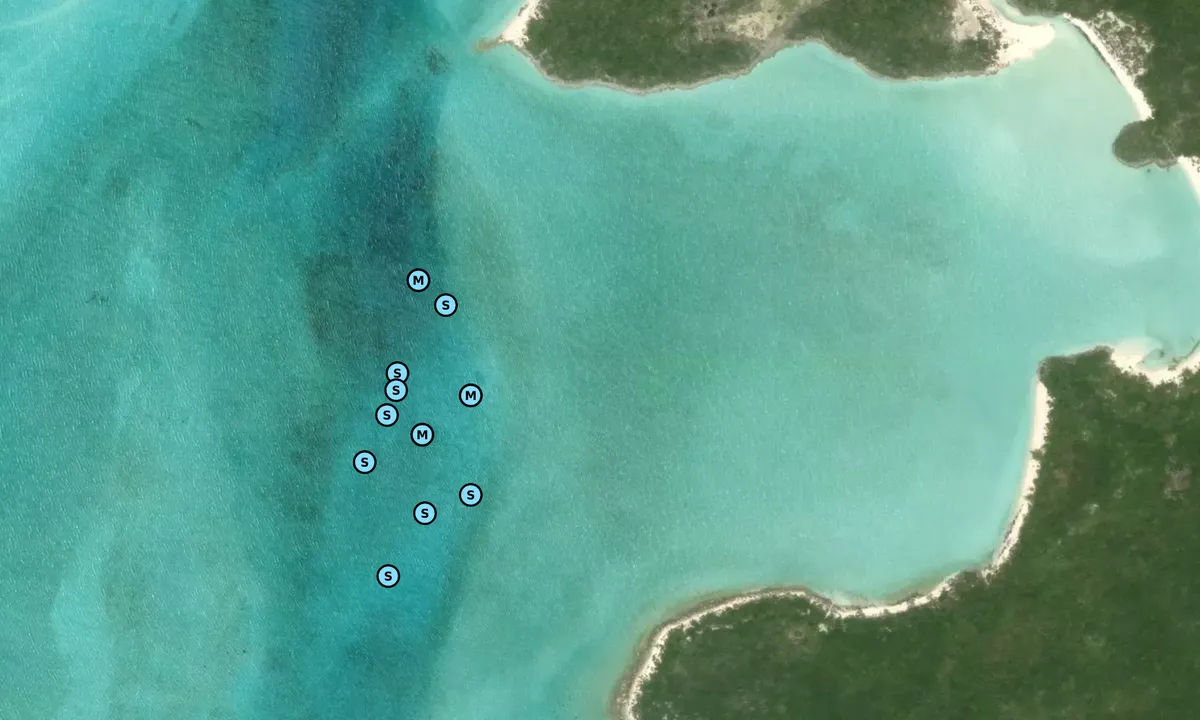 Satelite image of Compass Cay (Outer Bay)