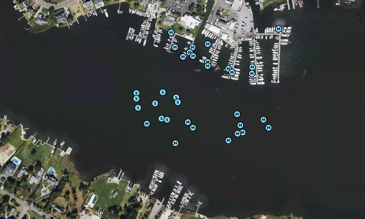 Satelite image of Connetquot River