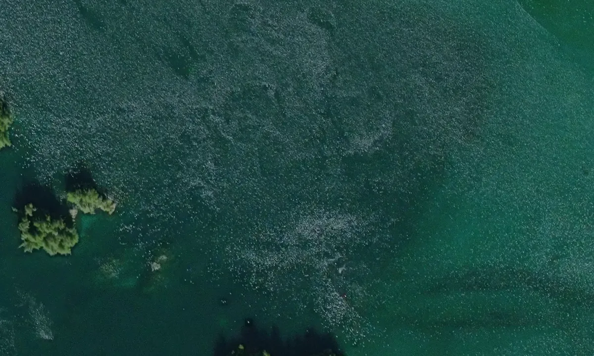 Satelite image of Connis Cove