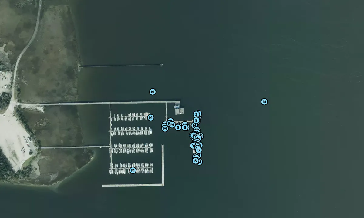 Satelite image of Cooper River Marina - Charleston