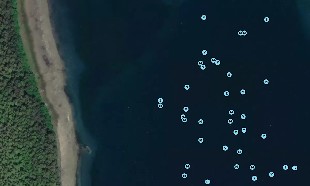 Satelite image of Coot Cove