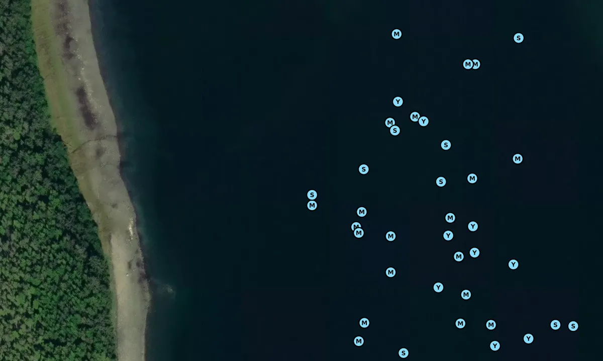 Satelite image of Coot Cove