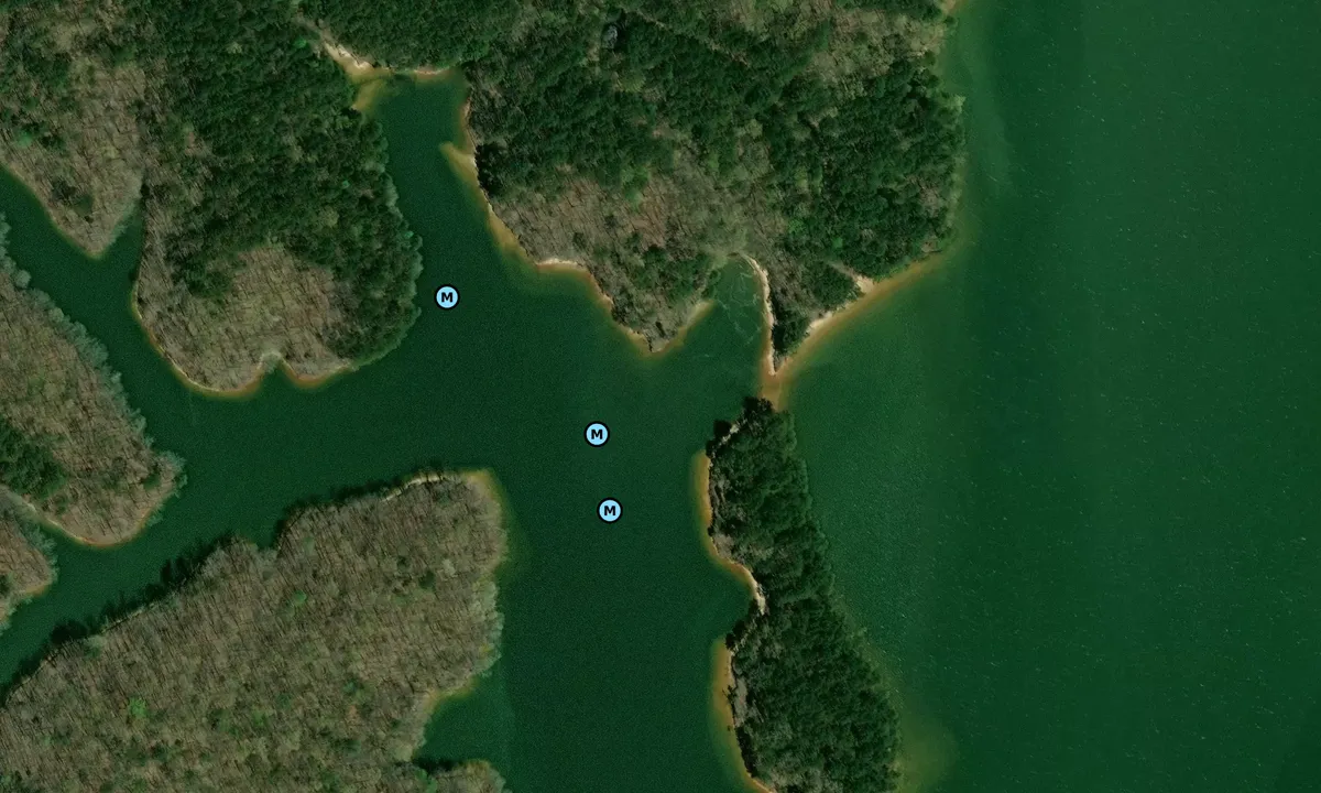 Satelite image of Coot Cove East