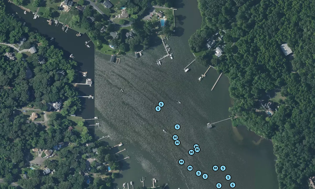 Satelite image of Cornfield Creek