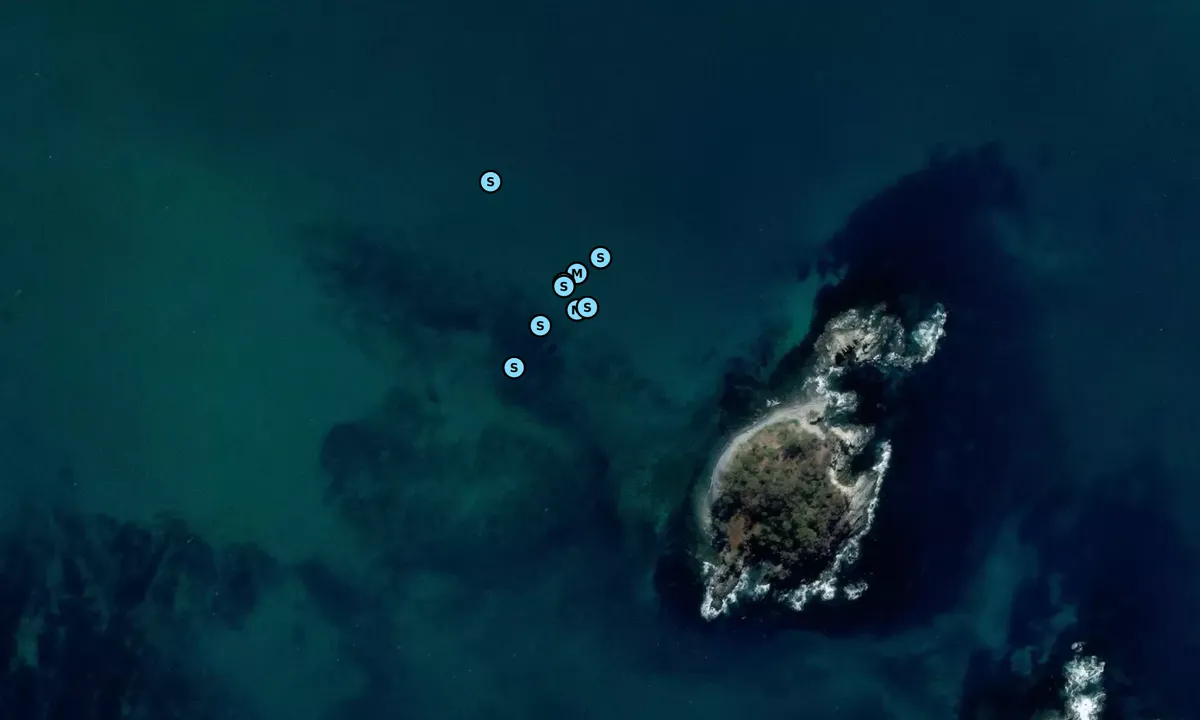 Satelite image of Courtesy Mooring (Pink)
