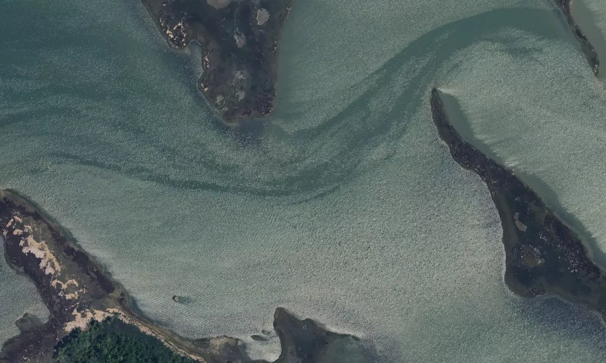 Satelite image of Cow Island Marsh