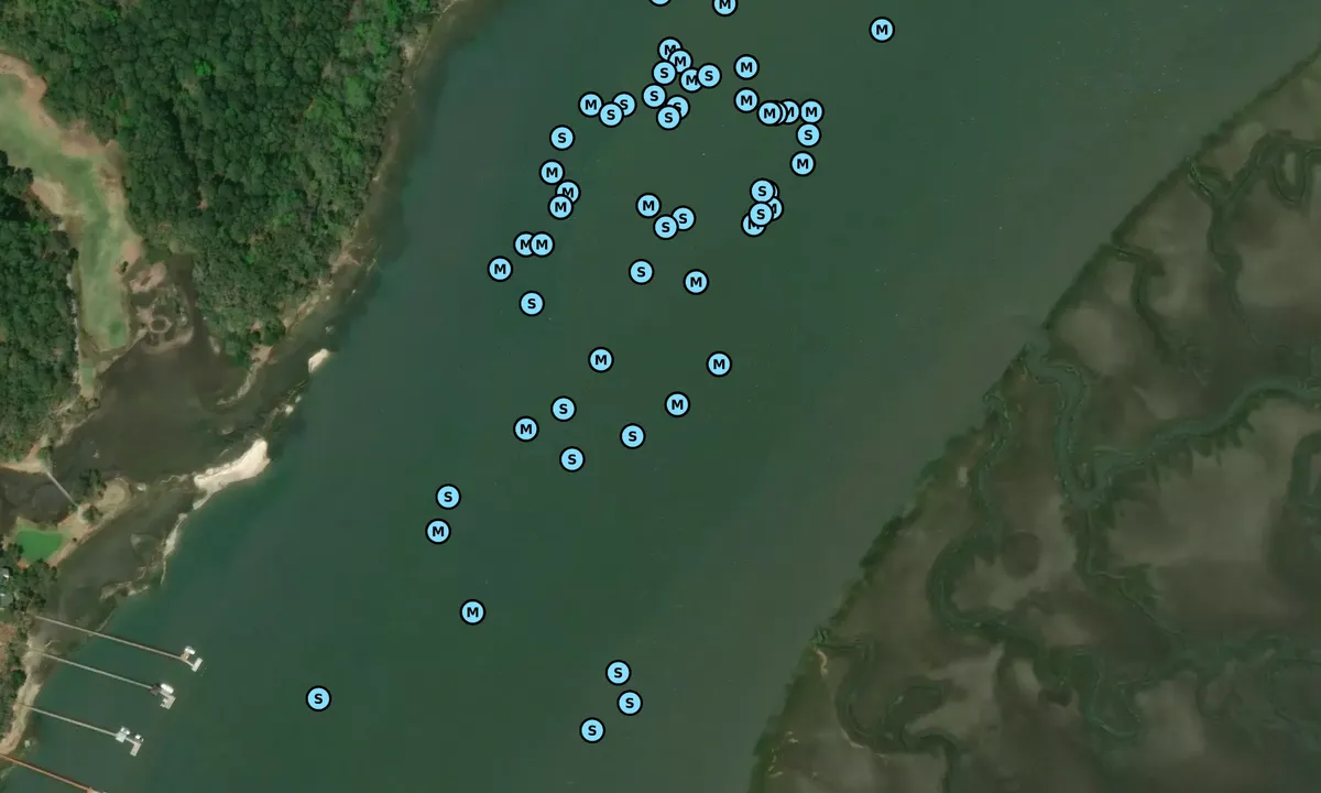 Satelite image of Cowen Creek - 1