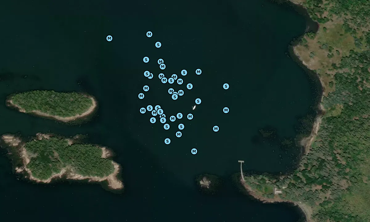 Satelite image of Cows Yard