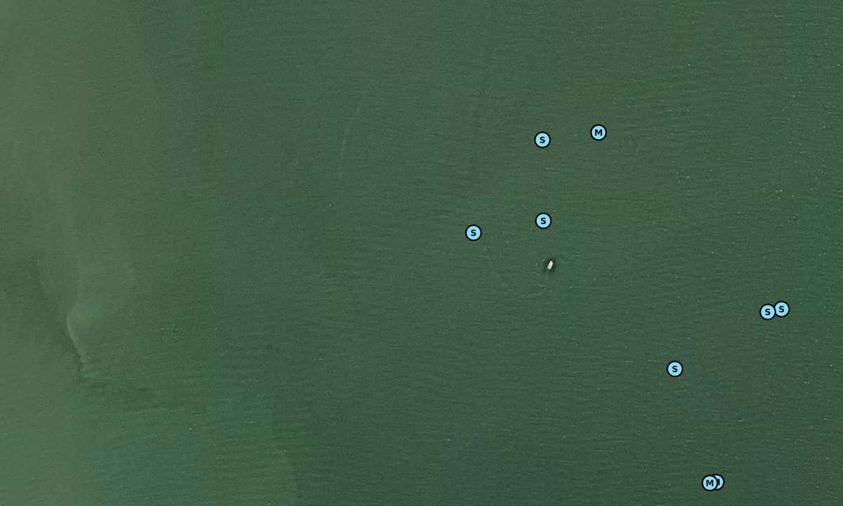 Satelite image of Cox Creek