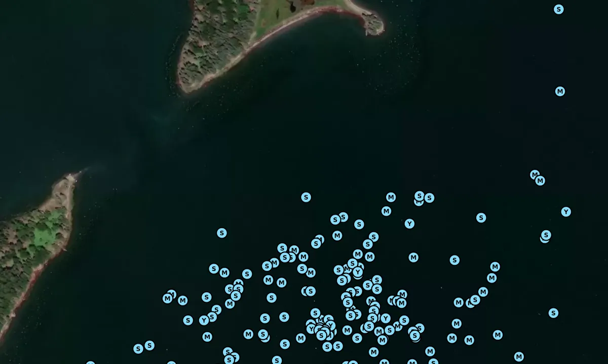 Satelite image of Cradle Cove