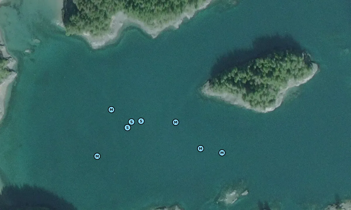 Satelite image of Crease Island