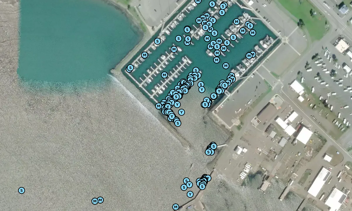 Satelite image of Crescent City Harbor Marina