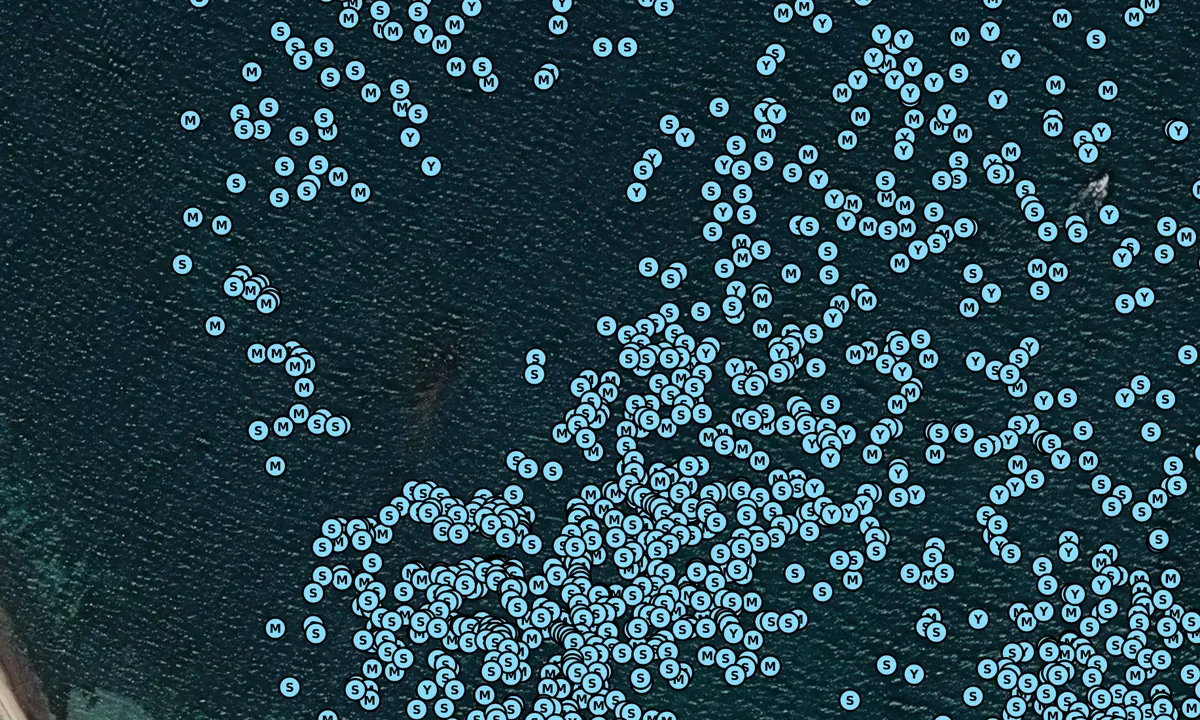Satelite image of Cuttyhunk Harbor (outside)