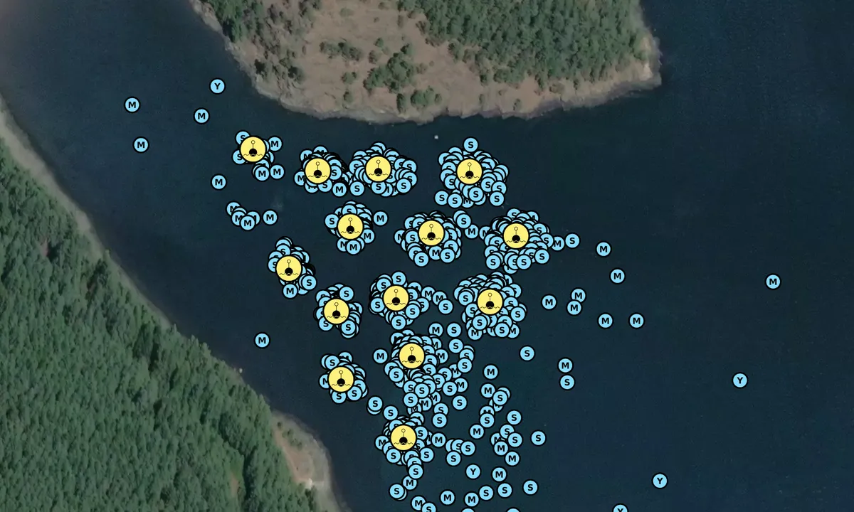Satelite image of Cypress Island - Eagle Harbor