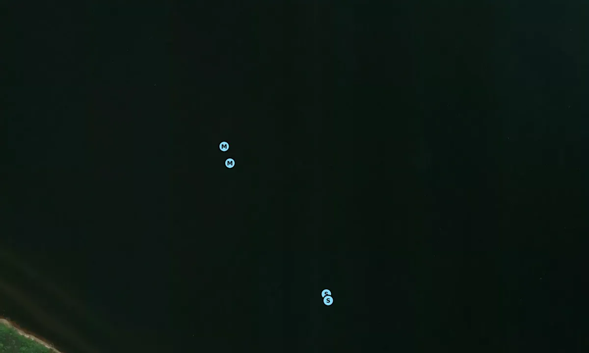 Satelite image of Cypress Swamp 1