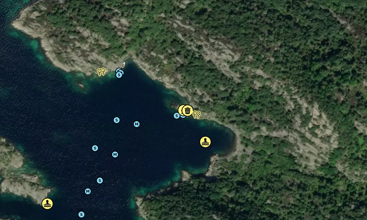 Satelite image of Dålibukta