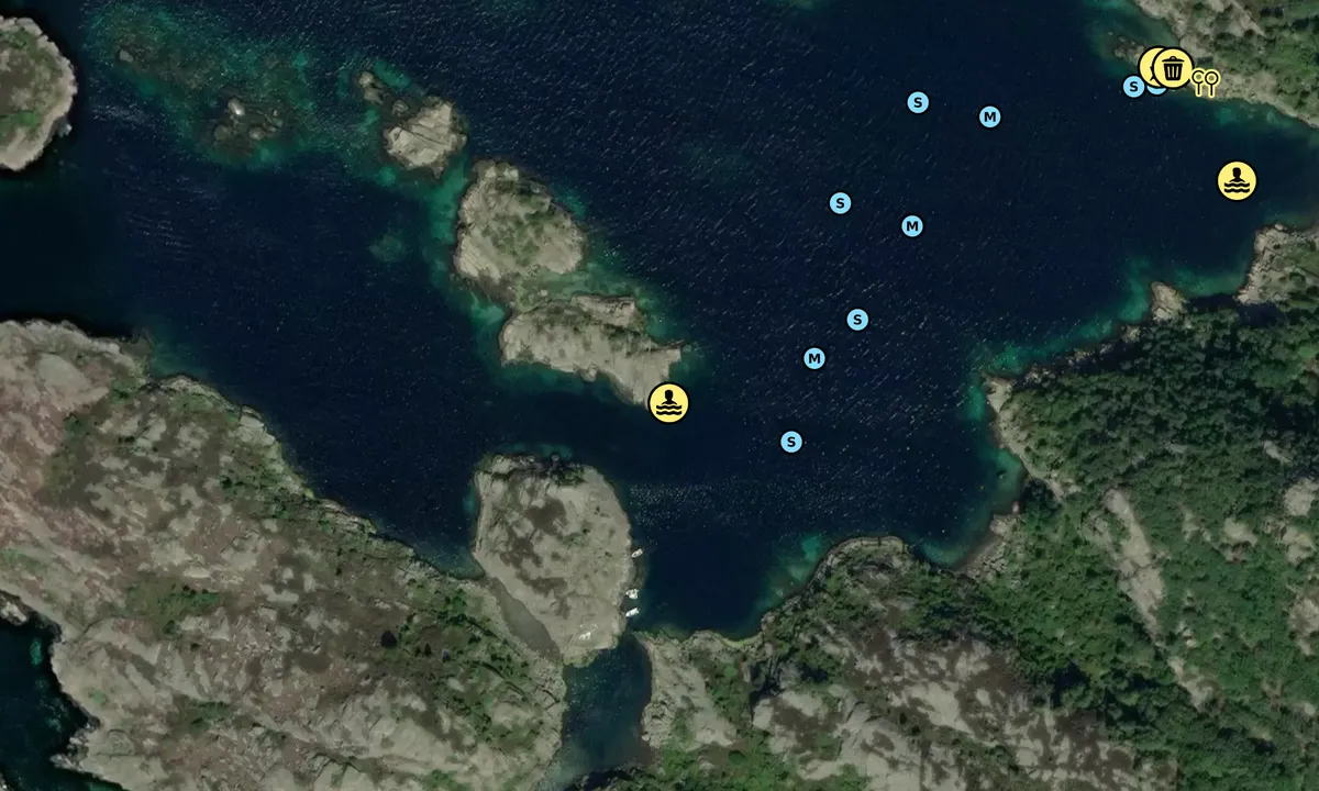 Satelite image of Dåliholman