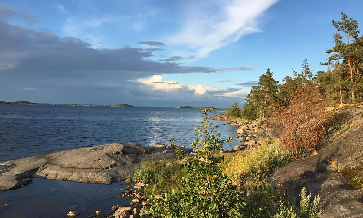 Dalskär