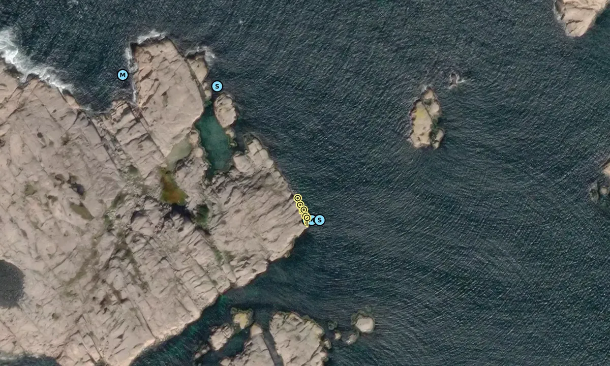 Satelite image of Dammholmen