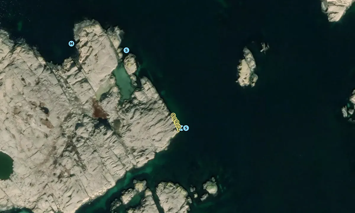 Satelite image of Dammholmen