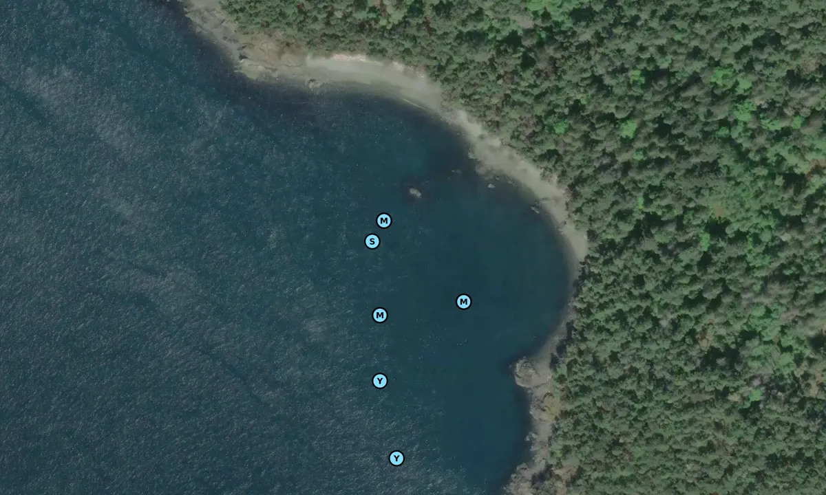 Satelite image of D'Arcy Island