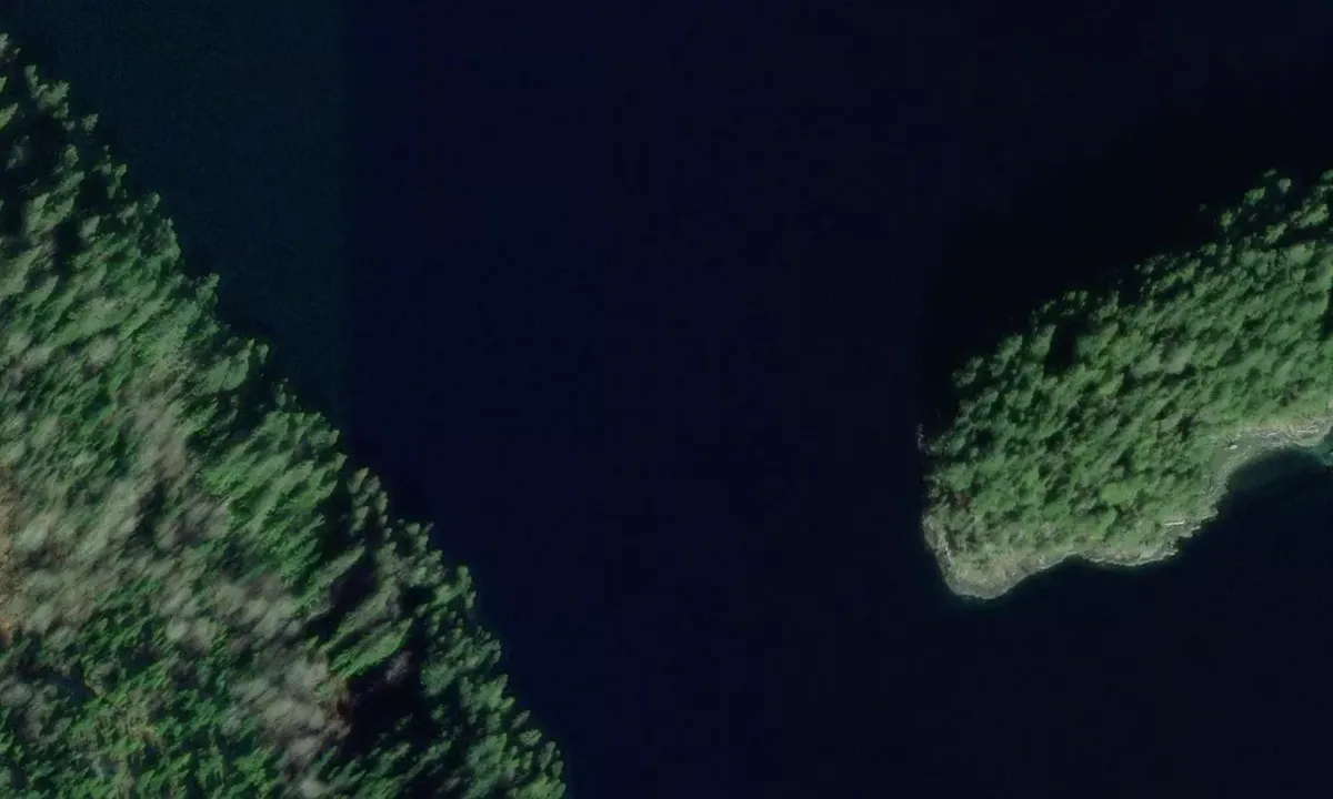 Satelite image of Dark Cove