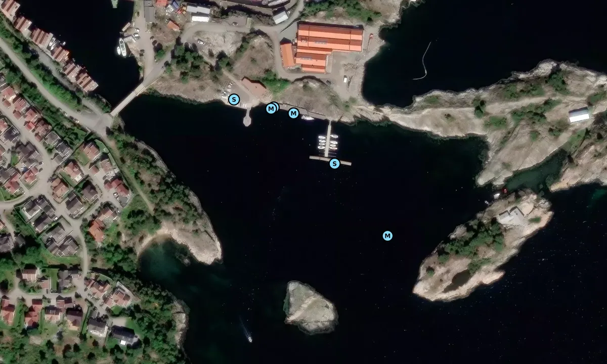 Satelite image of Daudmannsholmen