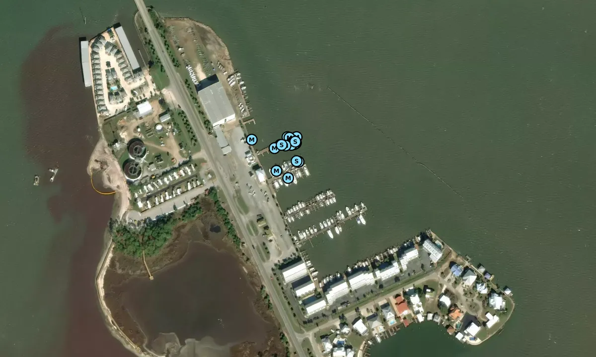 Satelite image of Dauphin Island Marina