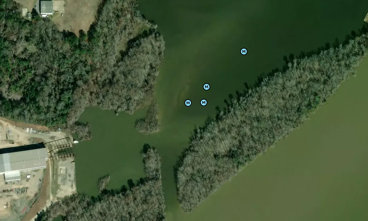 Satelite image of David Lake