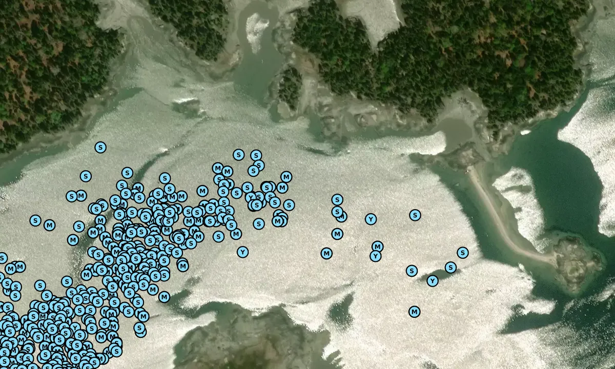 Satelite image of Davids